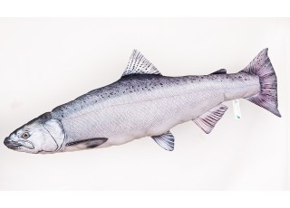 Gaby Chinook Salmon